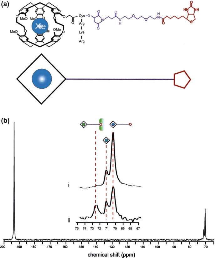 Fig. 10