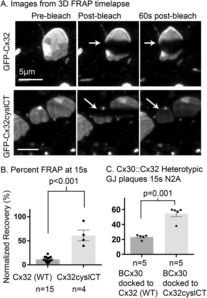 FIGURE 3: