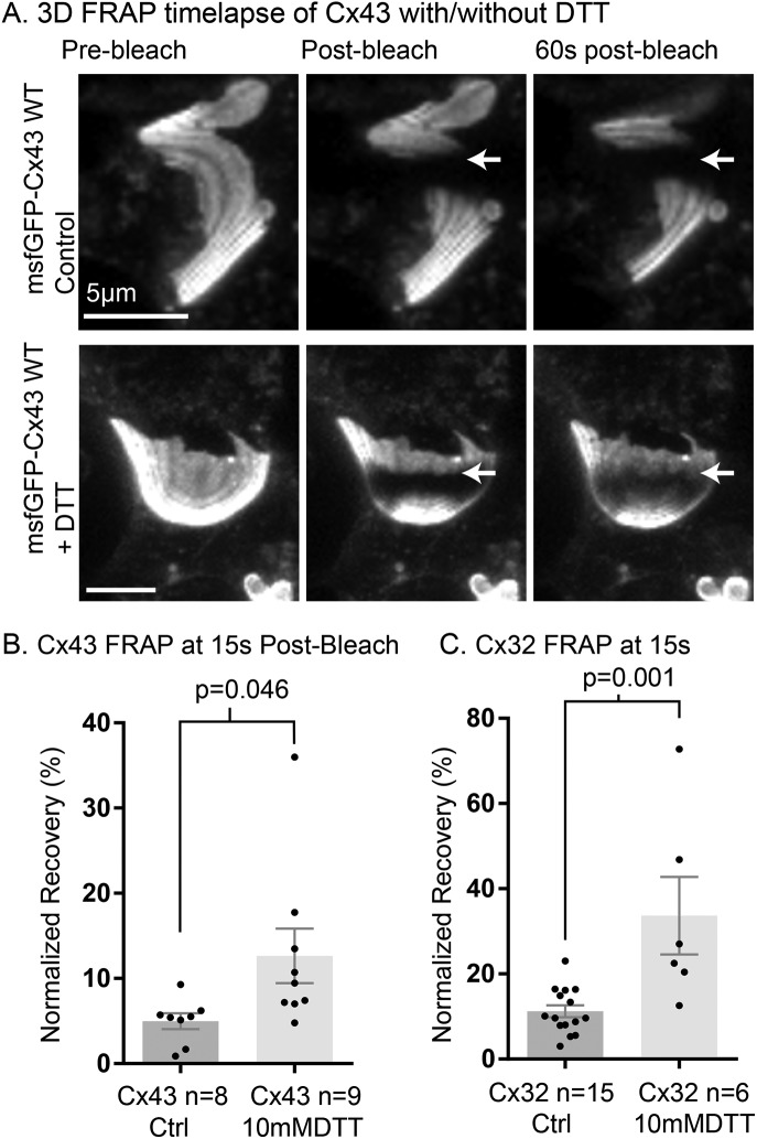 FIGURE 4: