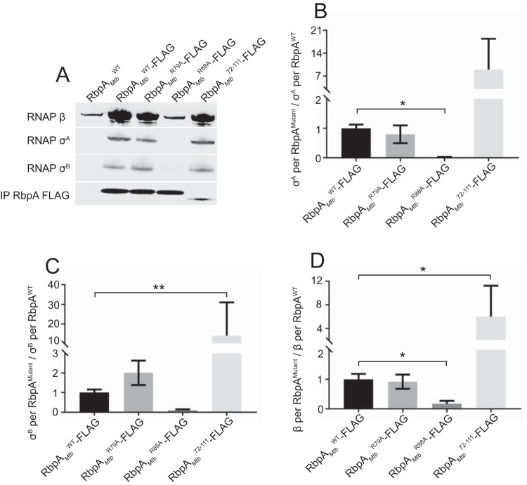 FIG 2