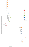 Fig. 4