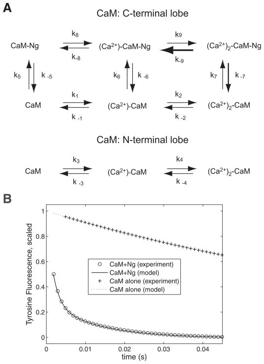 FIG. 1