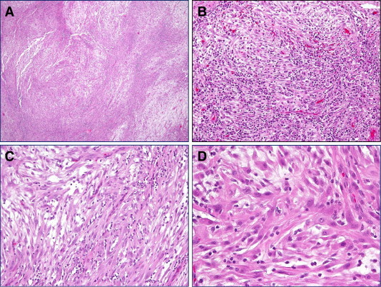 Fig. 1