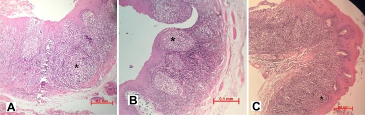Fig. 5