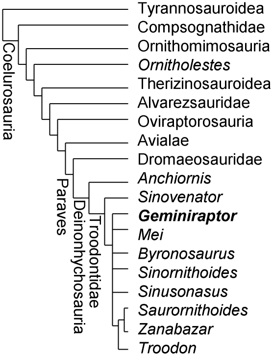 Figure 4