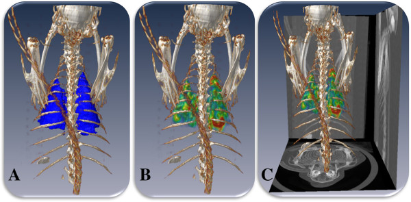 Figure 11