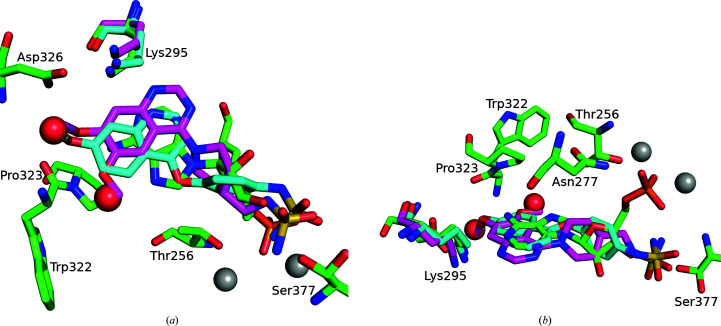 Figure 5