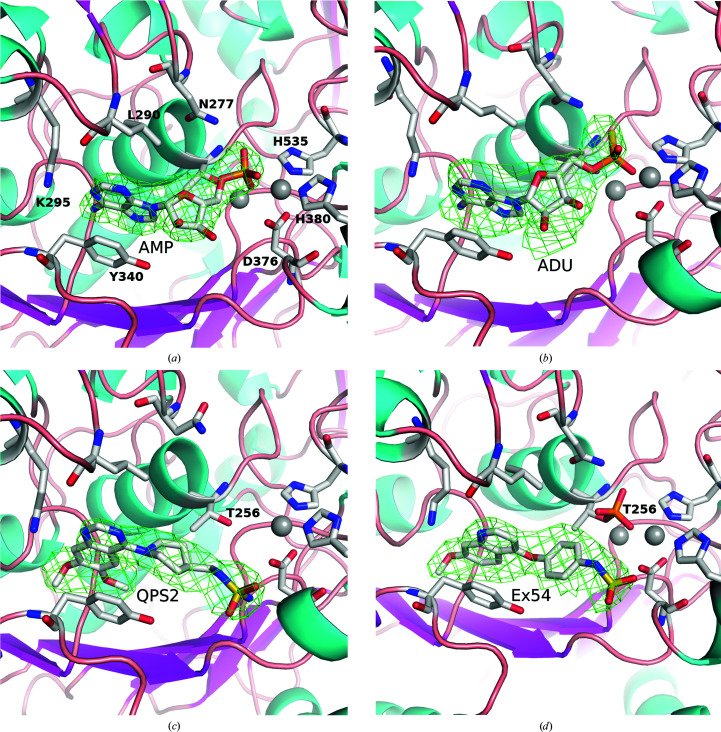 Figure 4