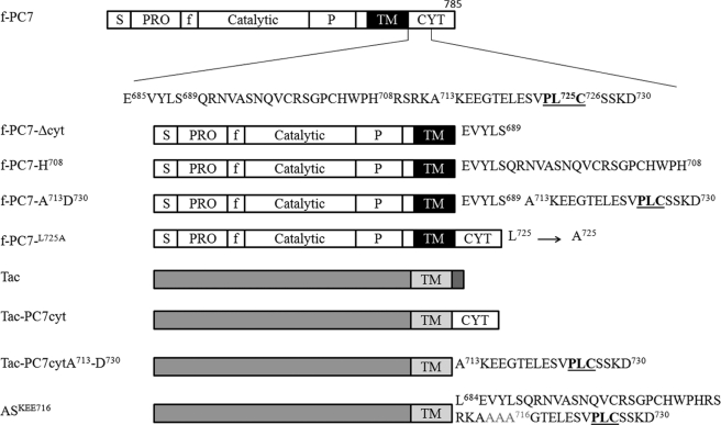 FIGURE 1.