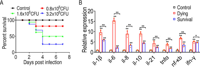 FIG 1