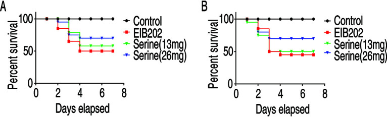 FIG 5