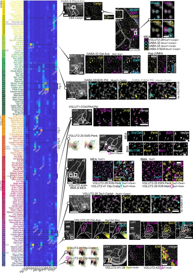 Extended Data Fig. 4