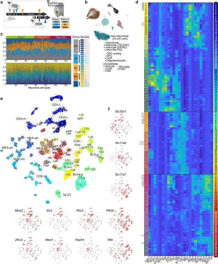 Extended Data Fig. 1