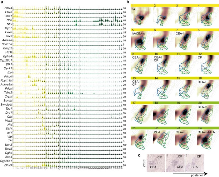 Extended Data Fig. 5