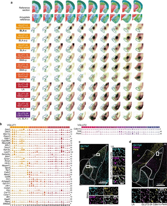 Extended Data Fig. 6