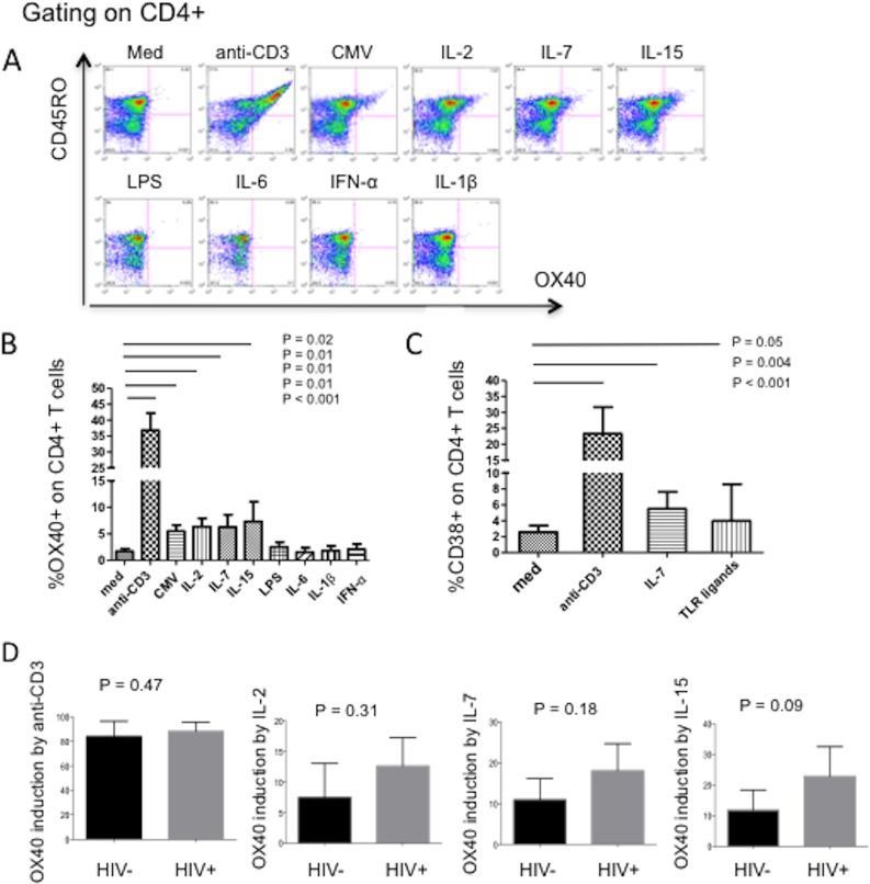 FIG 3