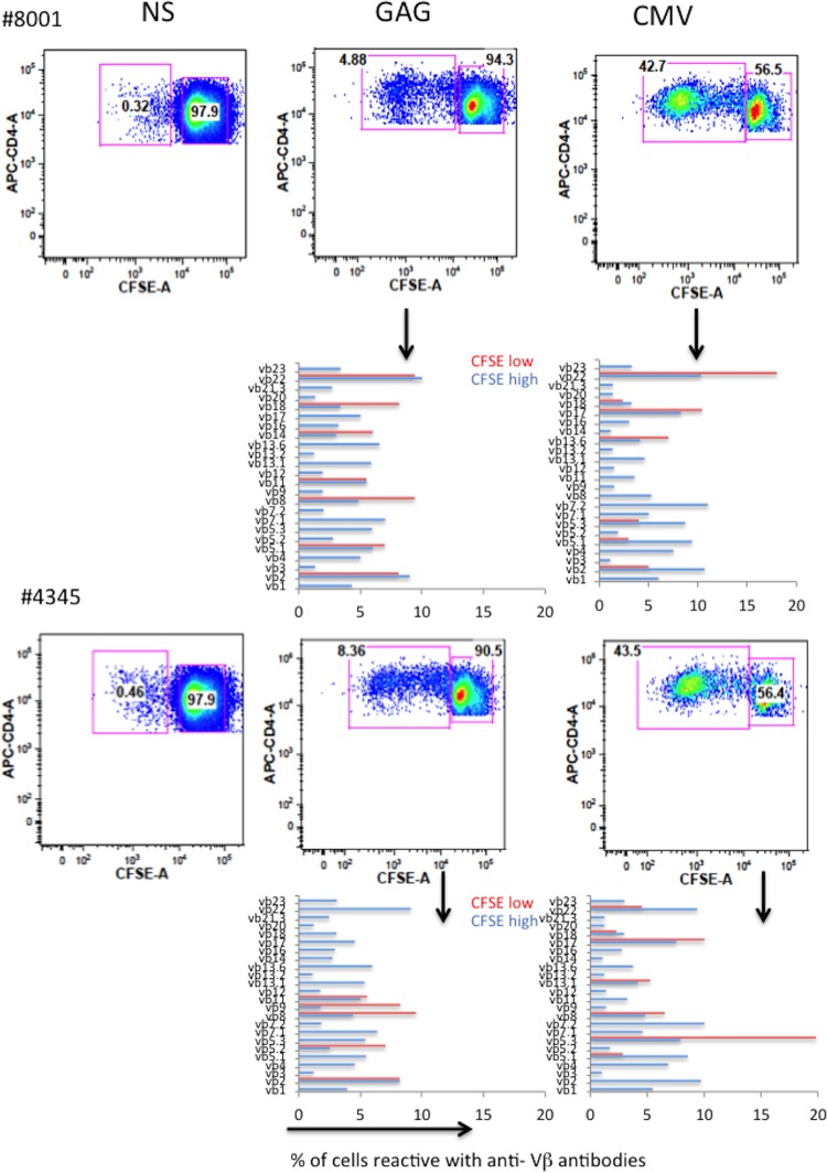 FIG 6