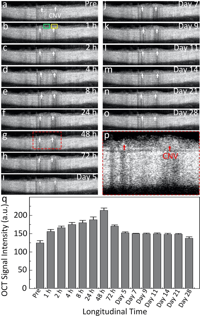 Figure 6.