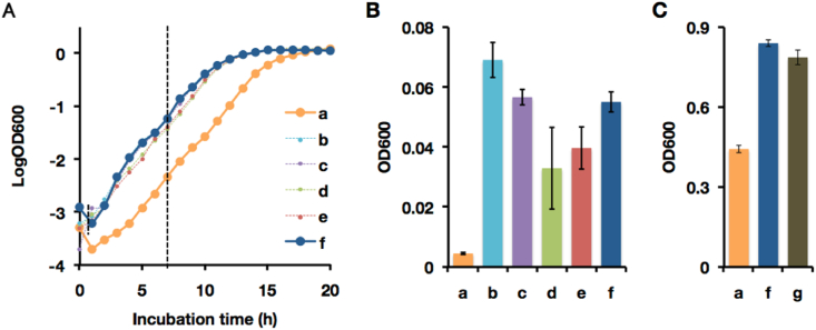 Fig. 11