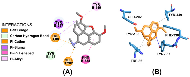 Figure 9