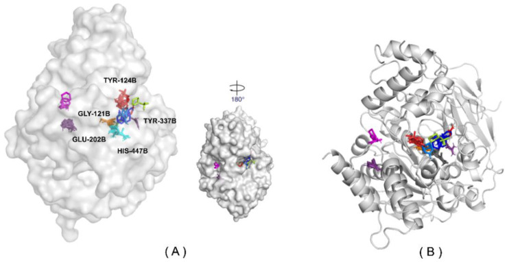 Figure 12