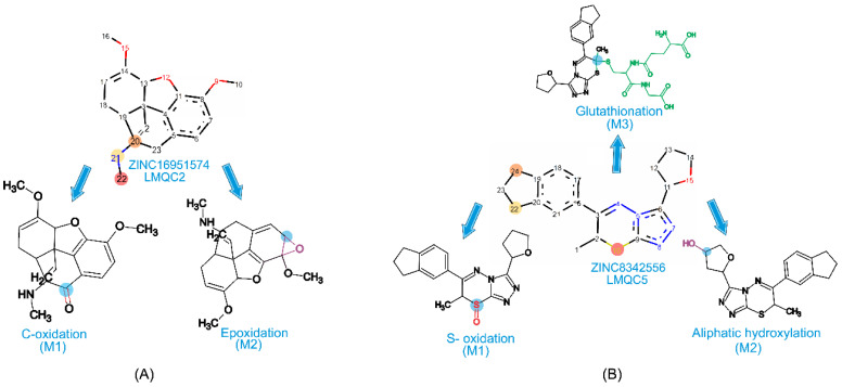 Figure 6