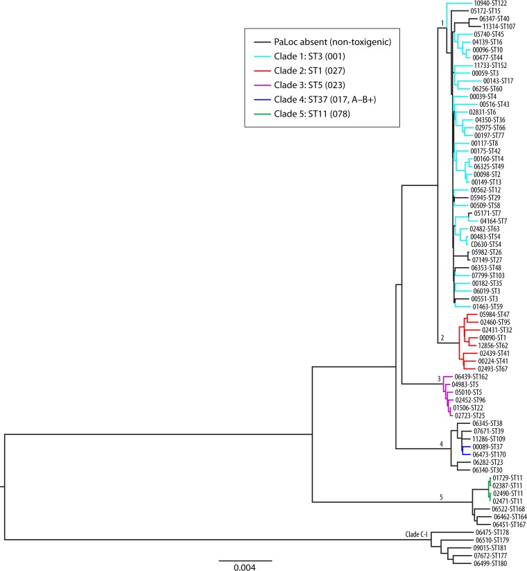 FIG 2