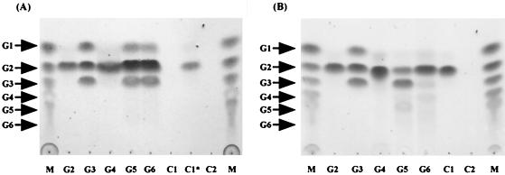 FIG. 6.