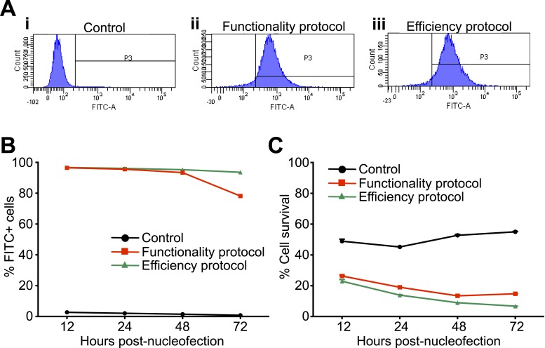 Figure 2—figure supplement 1.