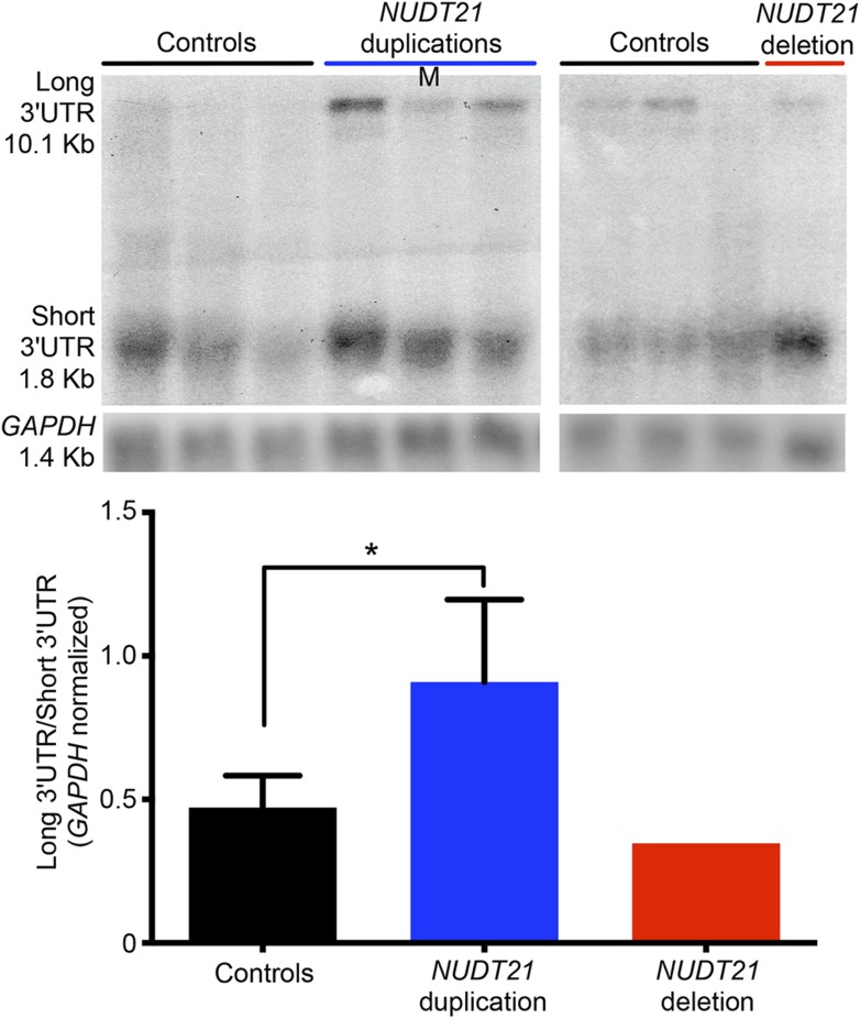 Figure 3—figure supplement 1.