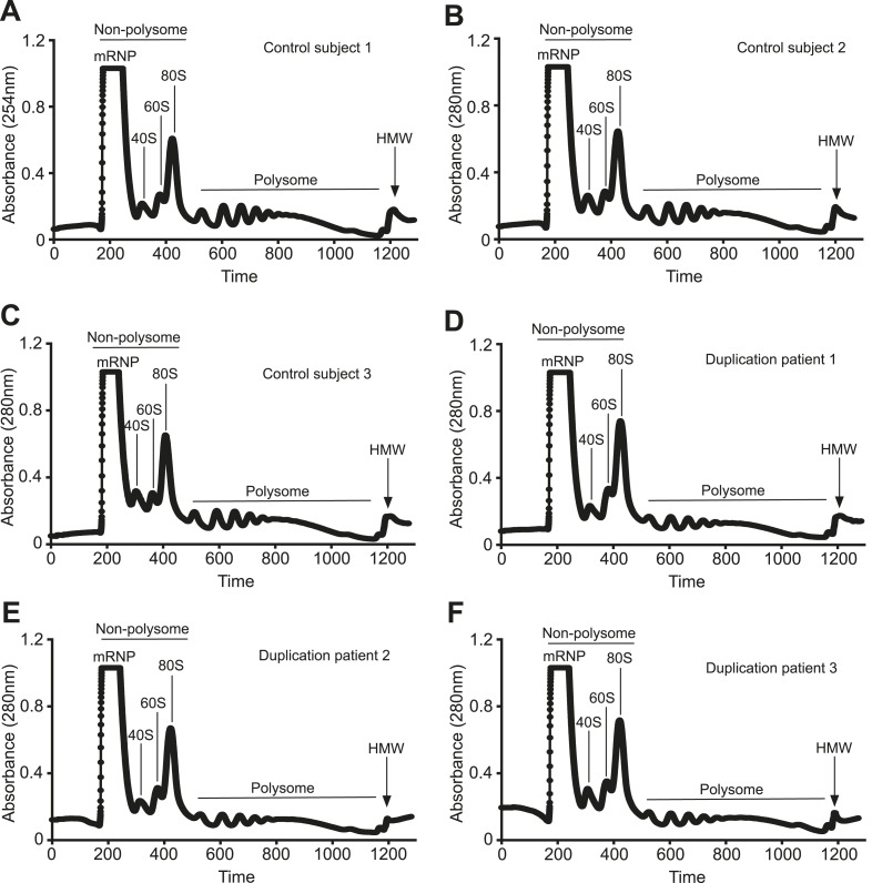 Figure 3—figure supplement 2.