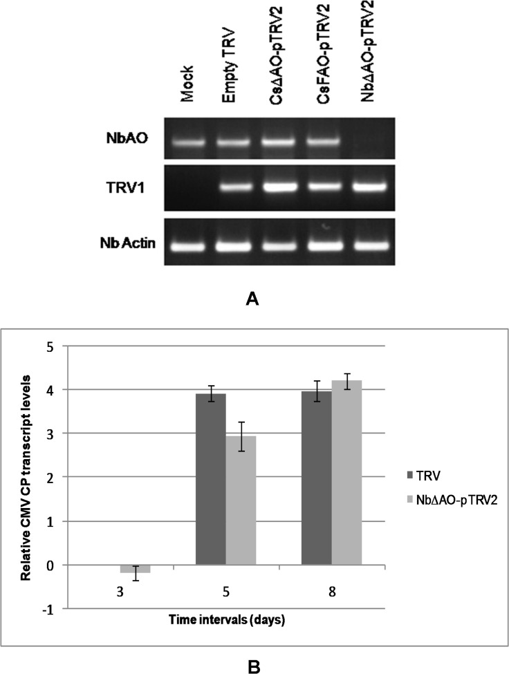 Fig 8