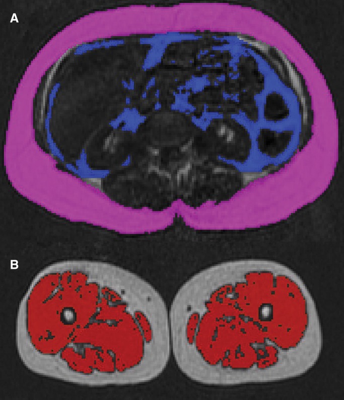 Figure 3: