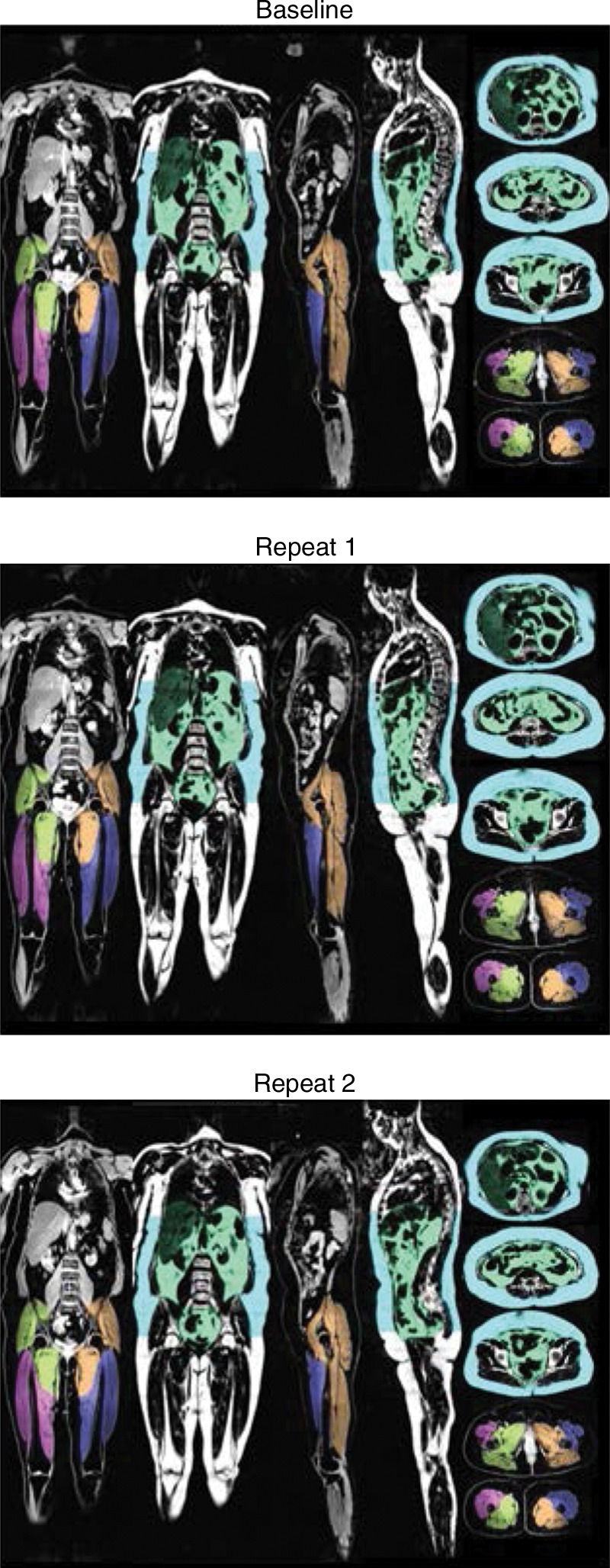 Figure 2: