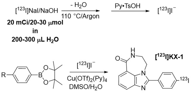 graphic file with name nihms-1931826-f0001.jpg