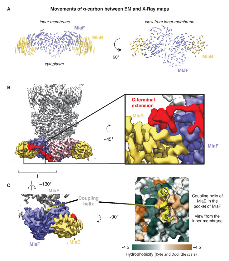 Figure 1—figure supplement 4.