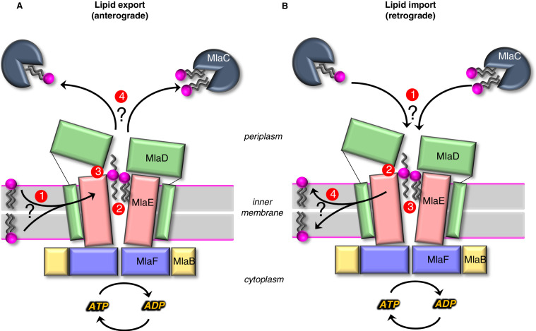 Figure 6.