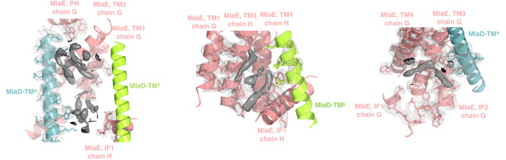 Figure 1—figure supplement 5.