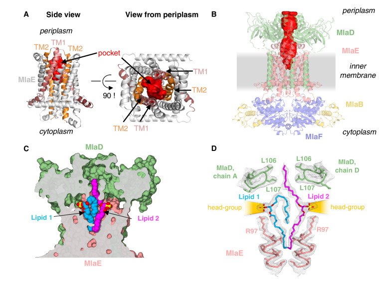 Figure 4.