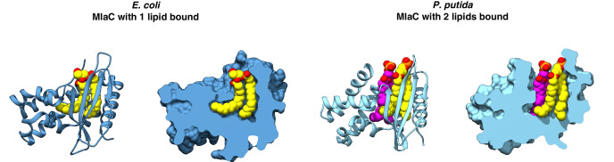 Figure 4—figure supplement 4.