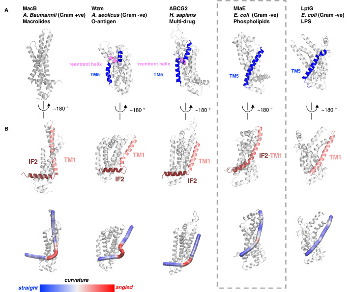 Figure 2—figure supplement 2.