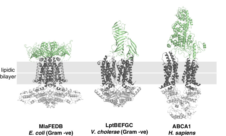 Figure 4—figure supplement 1.