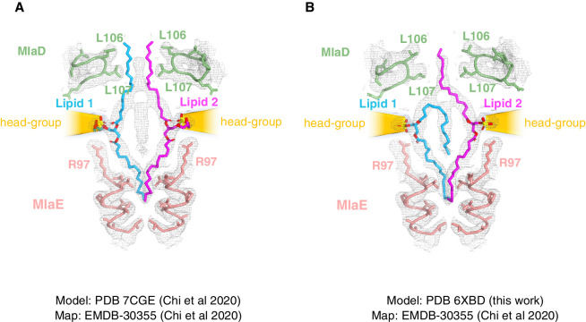 Figure 4—figure supplement 5.