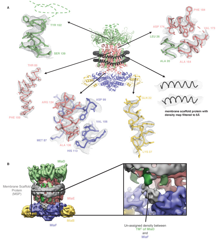 Figure 1—figure supplement 3.