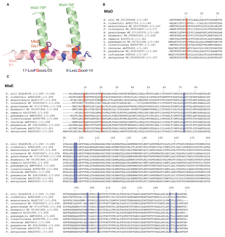 Figure 3—figure supplement 1.