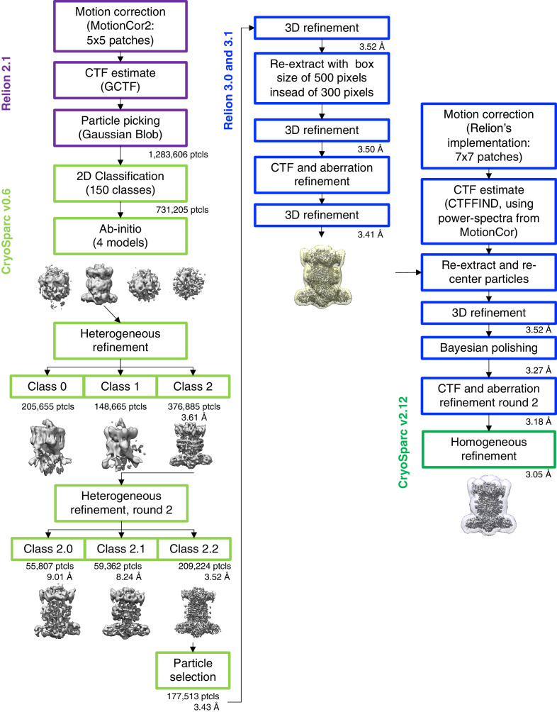 Figure 1—figure supplement 1.