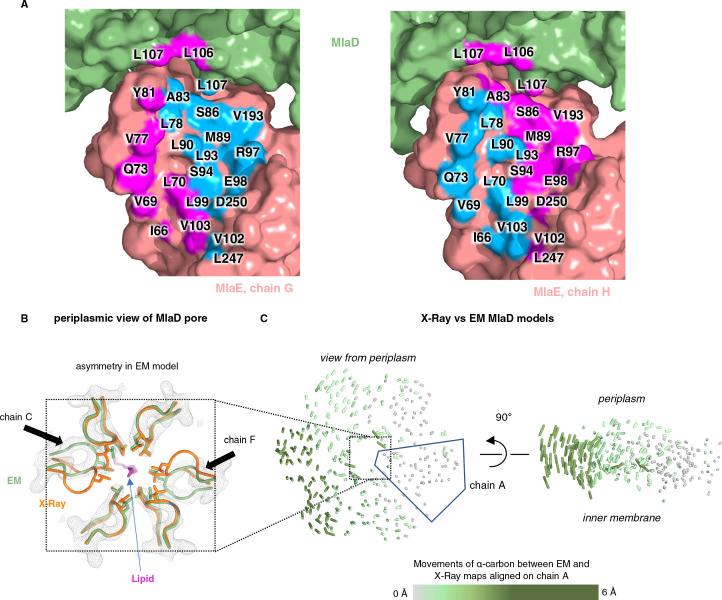 Figure 4—figure supplement 2.