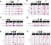 Figure 1—figure supplement 2.