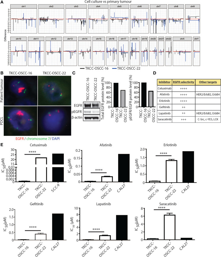 Figure 6