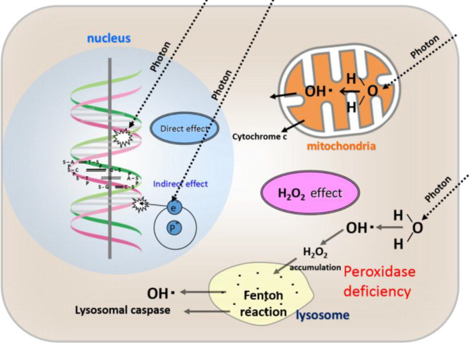 Figure 16